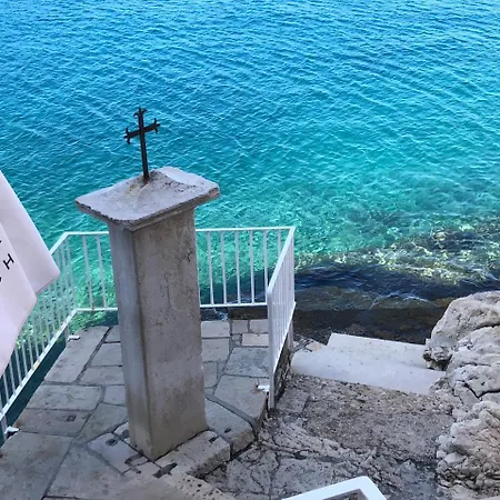 بيت ضيافة Golden Goose