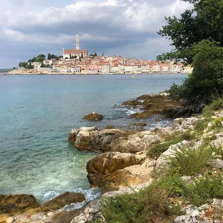 بيت ضيافة Golden Goose روفينج