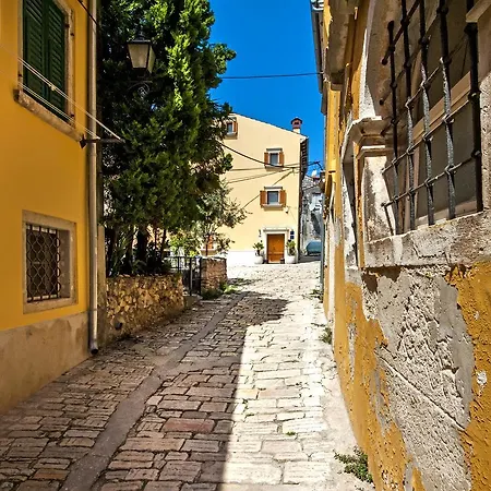 Golden Goose Casa de hóspedes